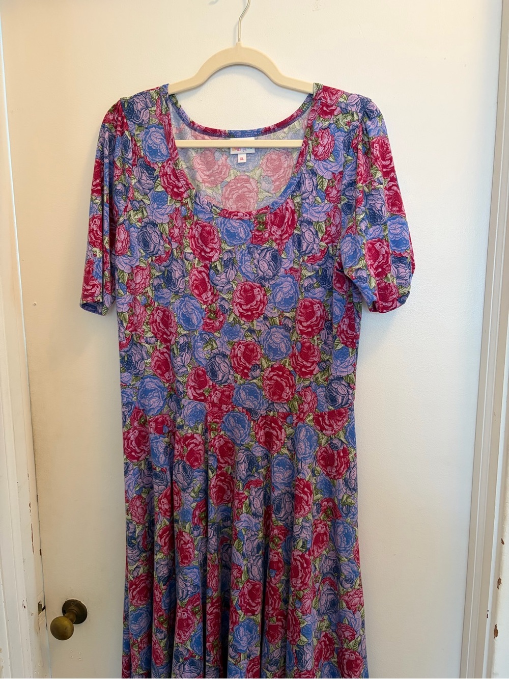 Floral Scoop-Neck Maxi Dress in Pink and Blue